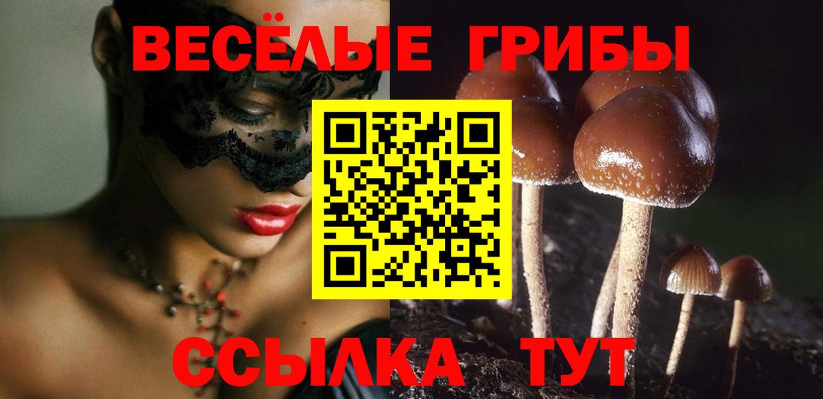 Псилоцибиновые грибы прущие грибы  Вход с VPN  Усолье-Сибирское 
